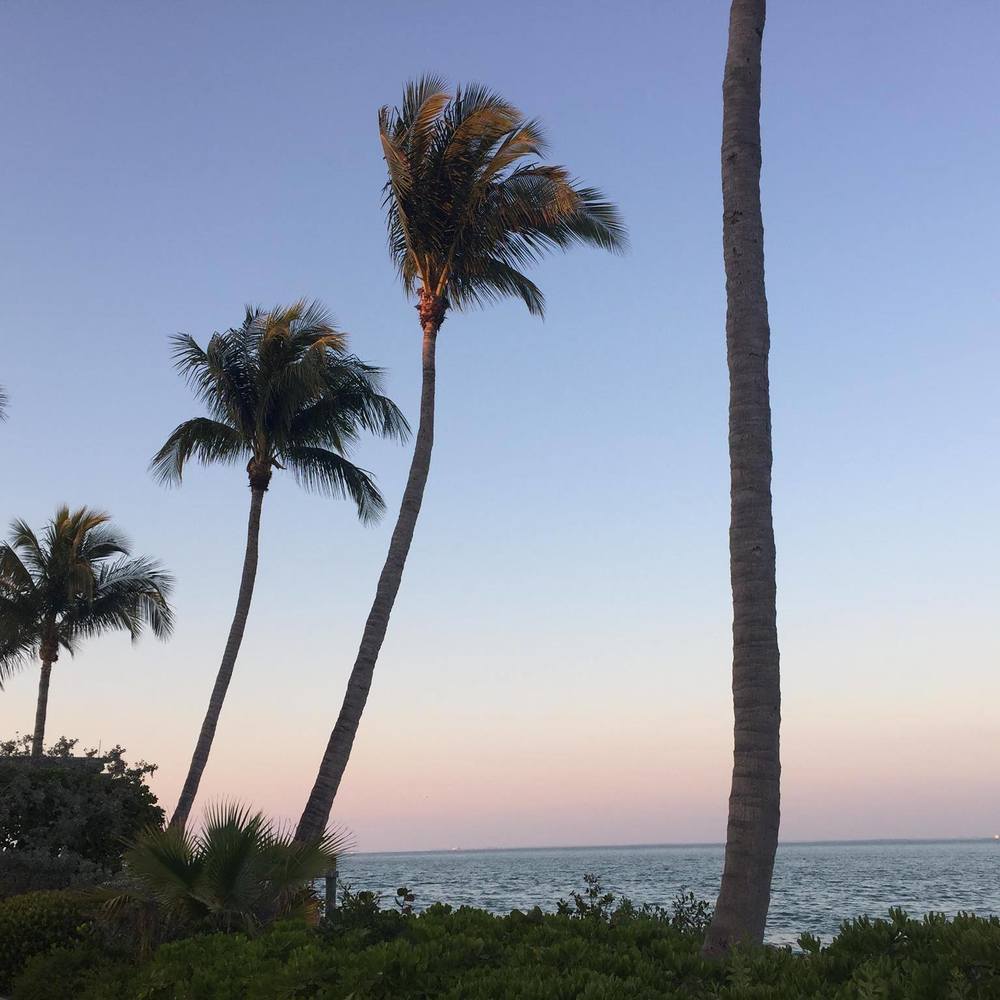 Meet your Posher, Irina